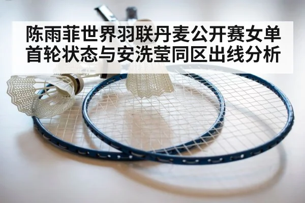 badminton shuttlecock racket closeup